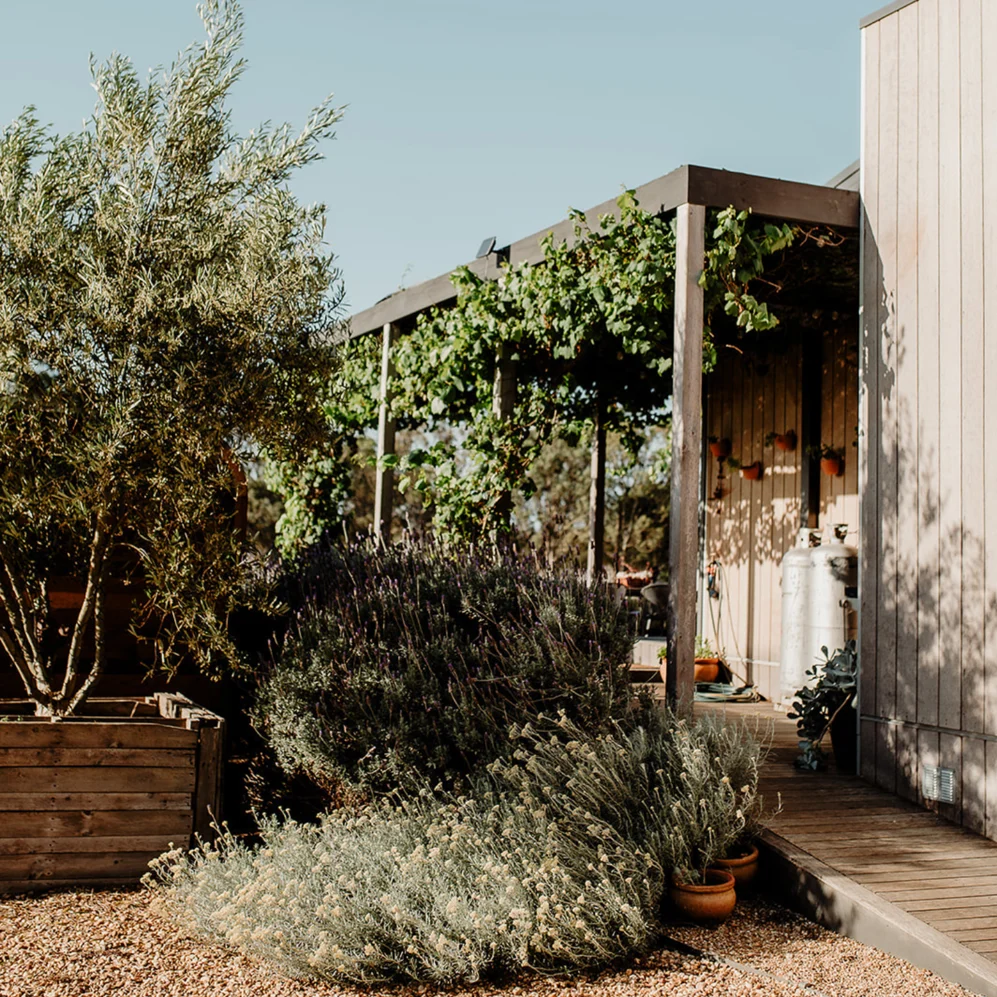 Lucknow Project Gardens